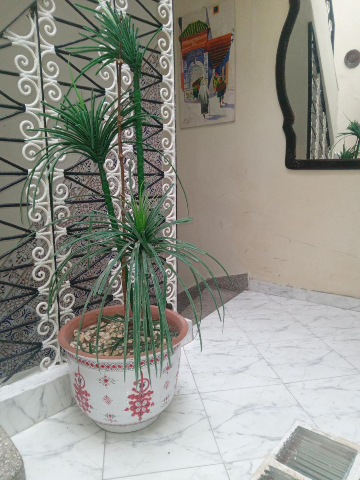 Riad Kamal Rabat Exterior photo